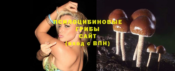 a pvp Белоозёрский