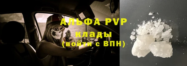 apvp Белокуриха