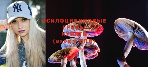 apvp Белокуриха